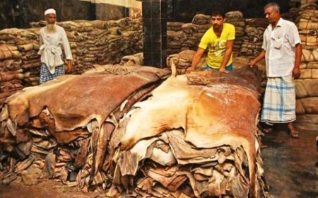 যে অপমানকে জেদে পরিণত করে নাচের তারকা হন ক্যাটরিনা