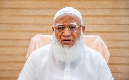 আ.লীগের সময়ের দুর্নীতি নিয়ে তাদের কোনো মাথাব্যথা নেই: আসিফ মাহমুদ