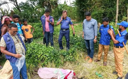 সিলেটে গণসংবর্ধনায় রাষ্ট্রপতি