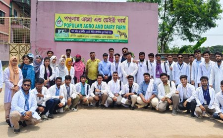 জল্পনায় ইতি টেনে অমিতাভ বললেন ‘অবসর নয়, ঘুমাতে যাচ্ছিলাম’