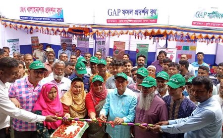 বন্ড সুবিধার অপব্যবহারে জড়িতদের বিরুদ্ধে ব্যবস্থা নিতে হবে