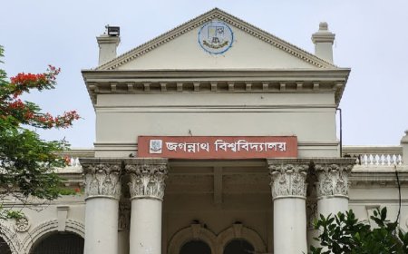 শেখ হাসিনাকে দেশে ফেরানোর বিষয় উঠল সংসদীয় কমিটিতে