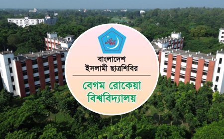 দুর্গম পাহাড়ে জুমের প্রকৃতিনির্ভর পাকা ধান