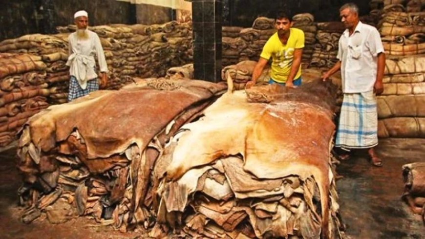 যে অপমানকে জেদে পরিণত করে নাচের তারকা হন ক্যাটরিনা