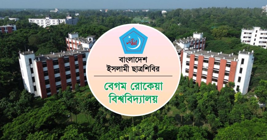 দুর্গম পাহাড়ে জুমের প্রকৃতিনির্ভর পাকা ধান