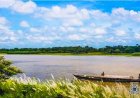 অমিত শাহর কাছে কোন অভিযোগ করলেন কাজলের বোন তানিশা