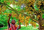 পর্তুগালের ক্যাম্প ছাড়লেন রোনালদো, বাড়ছে অবসরের জল্পনা