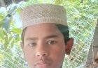বিজেপিতে যোগ দেওয়া কোয়েলকে কটাক্ষ শ্রীলেখার