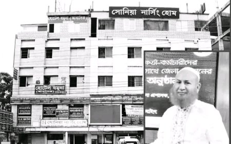 আইনি পেশা ছেড়ে কুকুর হাঁটিয়েই লাখপতি নারী!