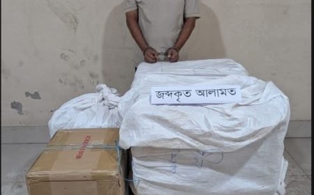 ইংল্যান্ডকে হারিয়ে আবেগ-গর্বে ভাসলেন আর্জেন্টিনা কোচ