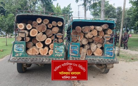 হাসিনাকে ফেরাতে ষড়যন্ত্র চলছে: প্রতিমন্ত্রী মীর শাহে আলম