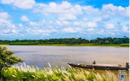 অমিত শাহর কাছে কোন অভিযোগ করলেন কাজলের বোন তানিশা