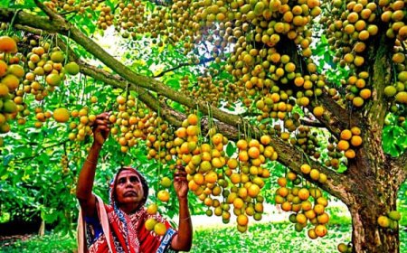 পর্তুগালের ক্যাম্প ছাড়লেন রোনালদো, বাড়ছে অবসরের জল্পনা