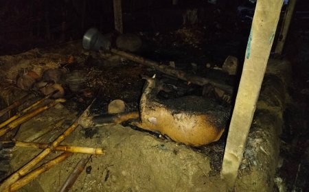 টঙ্গীতে ধারালো অস্ত্রের আঘাতে আহত এসআই, সহযোগীসহ আটক দুই ছিনতাইকারী