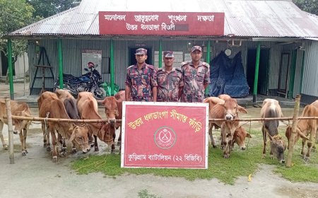 চোট থেকে ফিরে জোড়া গোল করে দলকে বাঁচালেন ‘আধা ফিট’ নেইমার