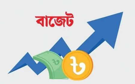 তথ্যের বিভ্রান্তি, ব্যারিস্টার রফিকুল ইসলাম মিয়া মারা যাননি
