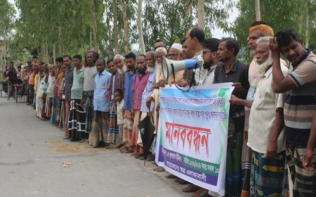 রাজধানীর বাজারগুলোতে উঠেছে শীতকালীন সবজি