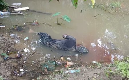 নাইটক্লাব বিতর্কে ইংল্যান্ড দল থেকে বাদ কার্স