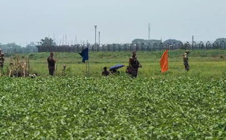 রাজধানীতে ৩১ মিলিমিটার বৃষ্টি, জলাবদ্ধতায় নগরবাসীর ভোগান্তি