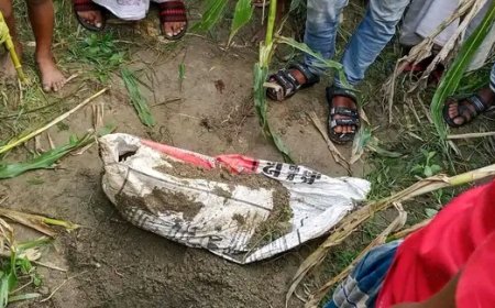 পার্টস আমদানির আড়ালে বিলাসবহুল গাড়ি