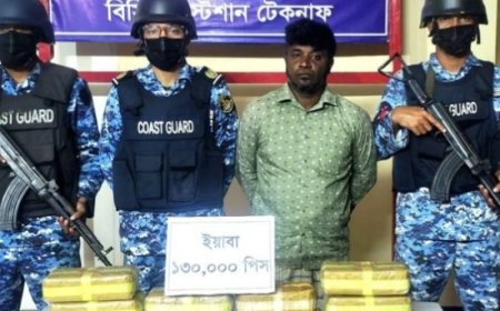 সুদানে ড্রোন হামলায় ৮ বেসামরিক নাগরিকের প্রাণহানি