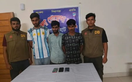 হালান্ড-চেরকির জোড়া গোলে প্যালেসকে উড়িয়ে দিল ম্যানসিটি