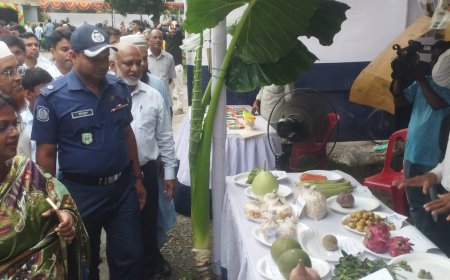 দরপতনে ধুঁকছে শেয়ারবাজার