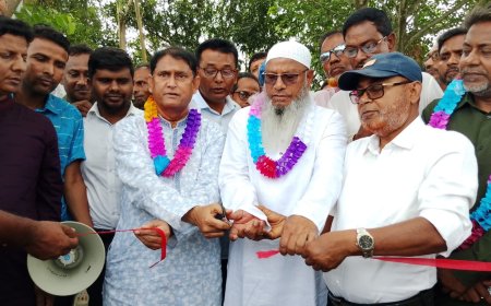 চলতি মাসে আসছে সারভর্তি ৭ জাহাজ