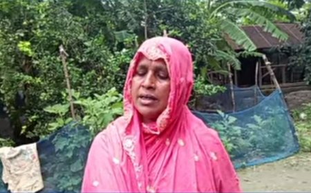 মুখ থুবড়ে পড়েছে বিএফডিসি