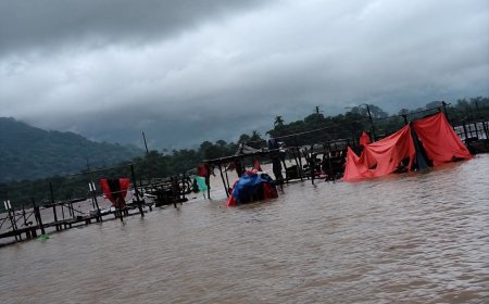 রিমান্ডে ‘তথ্য গোপন’ করায় কারাগারে ডন