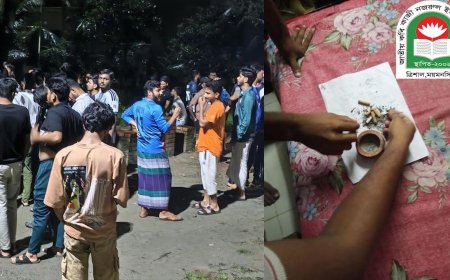 হাম্মাদ মুজিবকে নিয়ে বেরিয়ে এলো চাঞ্চল্যকর তথ্য