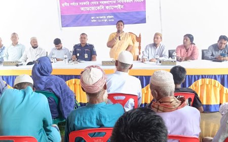 সরকারি দলের সমালোচনায় মামুনুল হক