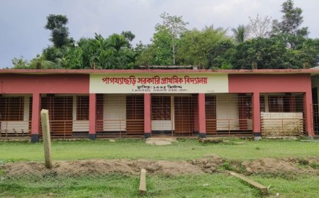 সুইজারল্যান্ডে ডাচ পর্যটক বহনকারী বাস উল্টে নিহত ৫