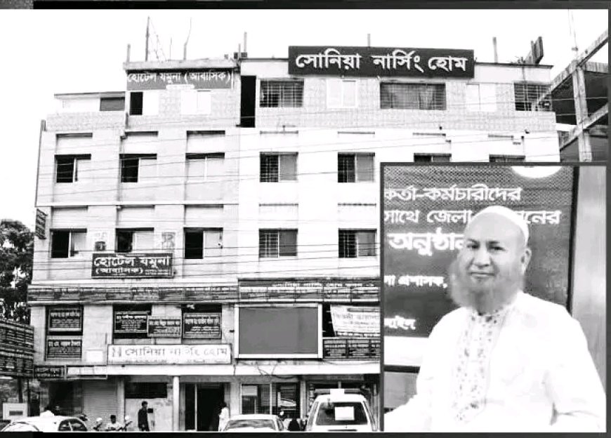 আইনি পেশা ছেড়ে কুকুর হাঁটিয়েই লাখপতি নারী!