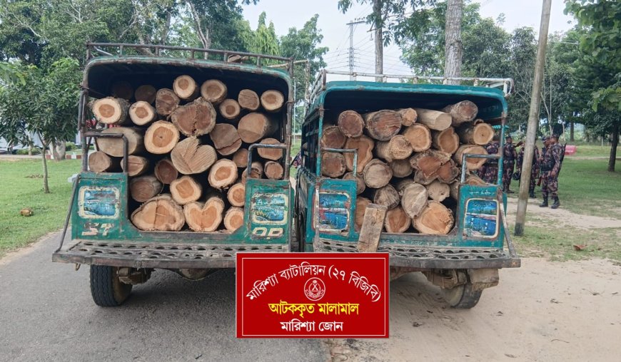 হাসিনাকে ফেরাতে ষড়যন্ত্র চলছে: প্রতিমন্ত্রী মীর শাহে আলম