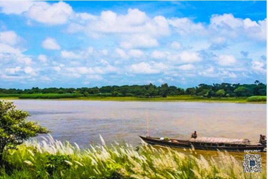 অমিত শাহর কাছে কোন অভিযোগ করলেন কাজলের বোন তানিশা