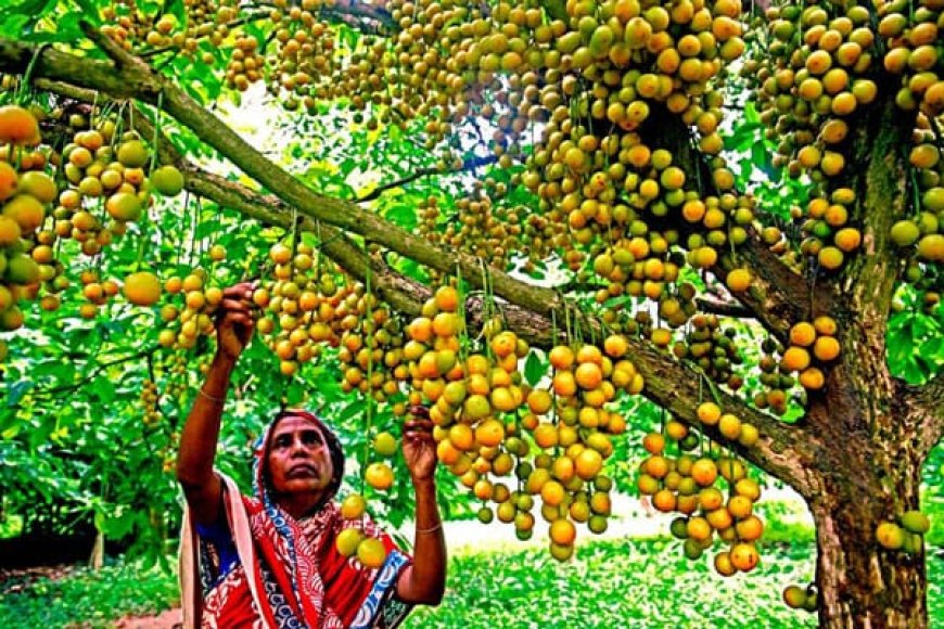 পর্তুগালের ক্যাম্প ছাড়লেন রোনালদো, বাড়ছে অবসরের জল্পনা