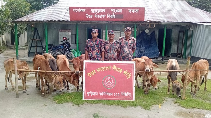 চোট থেকে ফিরে জোড়া গোল করে দলকে বাঁচালেন ‘আধা ফিট’ নেইমার