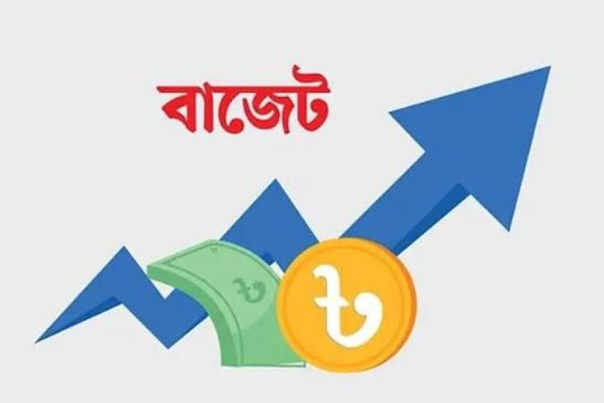 তথ্যের বিভ্রান্তি, ব্যারিস্টার রফিকুল ইসলাম মিয়া মারা যাননি