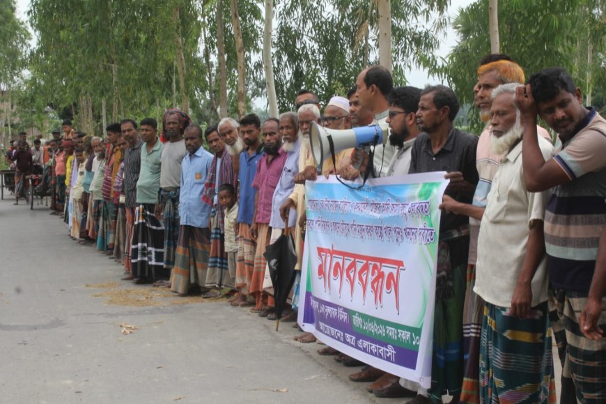 রাজধানীর বাজারগুলোতে উঠেছে শীতকালীন সবজি