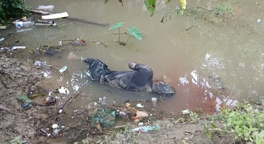 নাইটক্লাব বিতর্কে ইংল্যান্ড দল থেকে বাদ কার্স