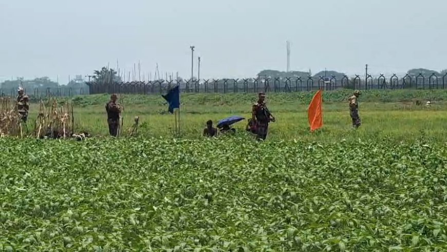 রাজধানীতে ৩১ মিলিমিটার বৃষ্টি, জলাবদ্ধতায় নগরবাসীর ভোগান্তি