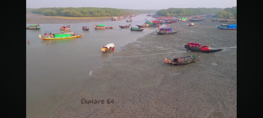 জুলাইয়ে অপেক্ষা করতাম, কখন জবির মিছিল আসবে: নাহিদ ইসলাম
