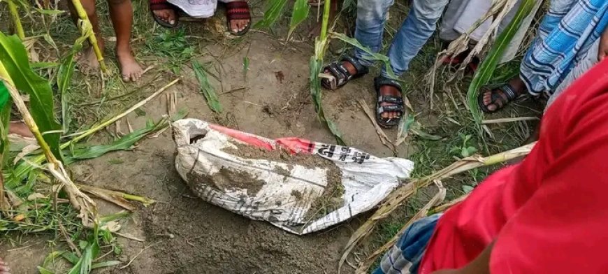 পার্টস আমদানির আড়ালে বিলাসবহুল গাড়ি