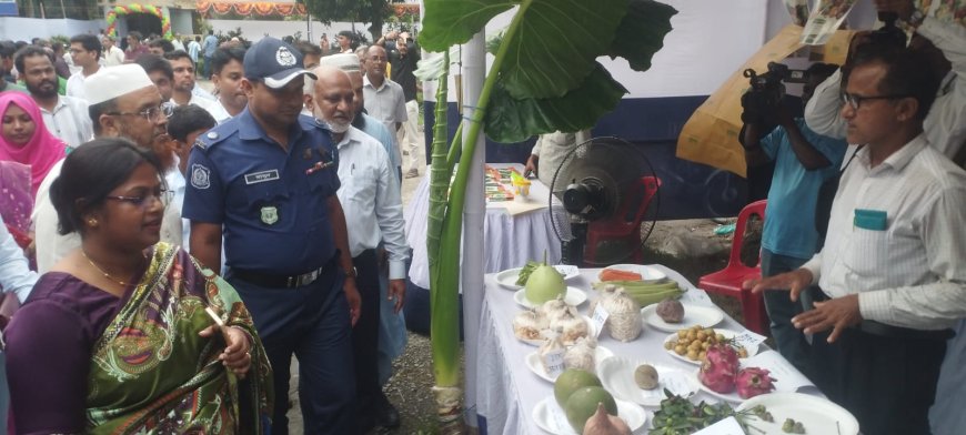 দরপতনে ধুঁকছে শেয়ারবাজার