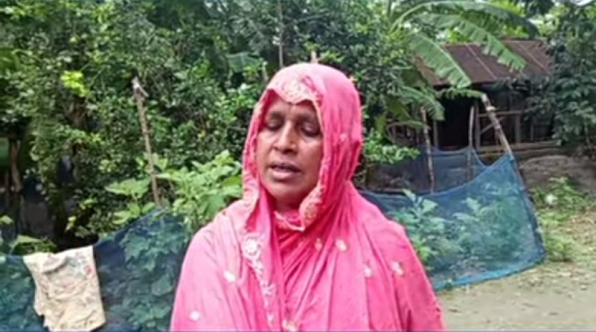 মুখ থুবড়ে পড়েছে বিএফডিসি