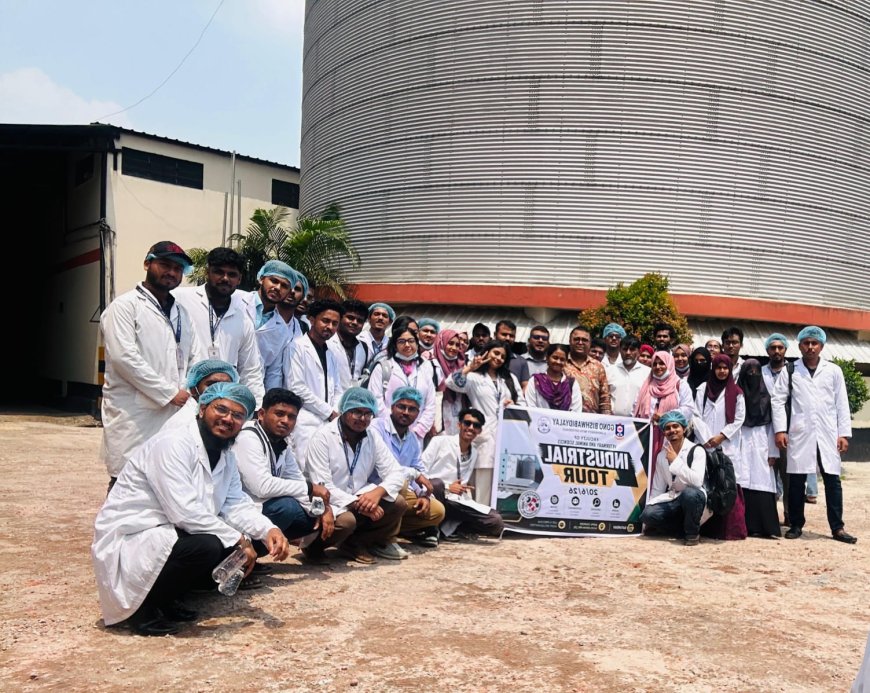 রাষ্ট্রপতি ও প্রধানমন্ত্রীর পদবির আগে ‘মহামান্য’ বা ‘মাননীয়’ নয়