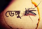২৪ ঘণ্টায় ডেঙ্গুতে ৭ মৃত্যু, হাসপাতালে ভর্তি ১৮৭২