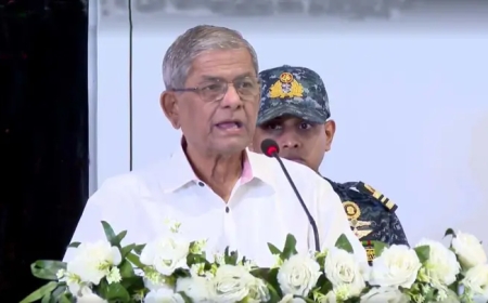দীর্ঘ ফ্যাসিবাদী শাসনে সবকিছু ধ্বংস হয়ে গেছে: রাষ্ট্রপতি