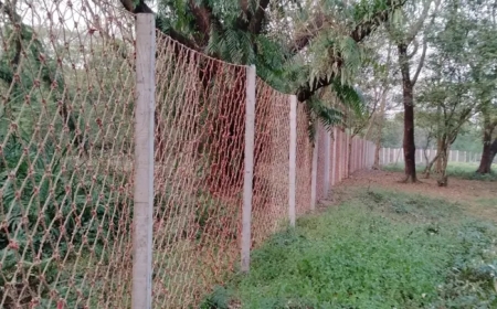 সুন্দরবনে ৭৪ কিলোমিটার এলাকাজুড়ে নাইলনের বেড়া